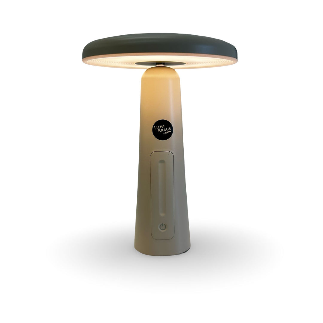 Akku-Tischleuchte Fip