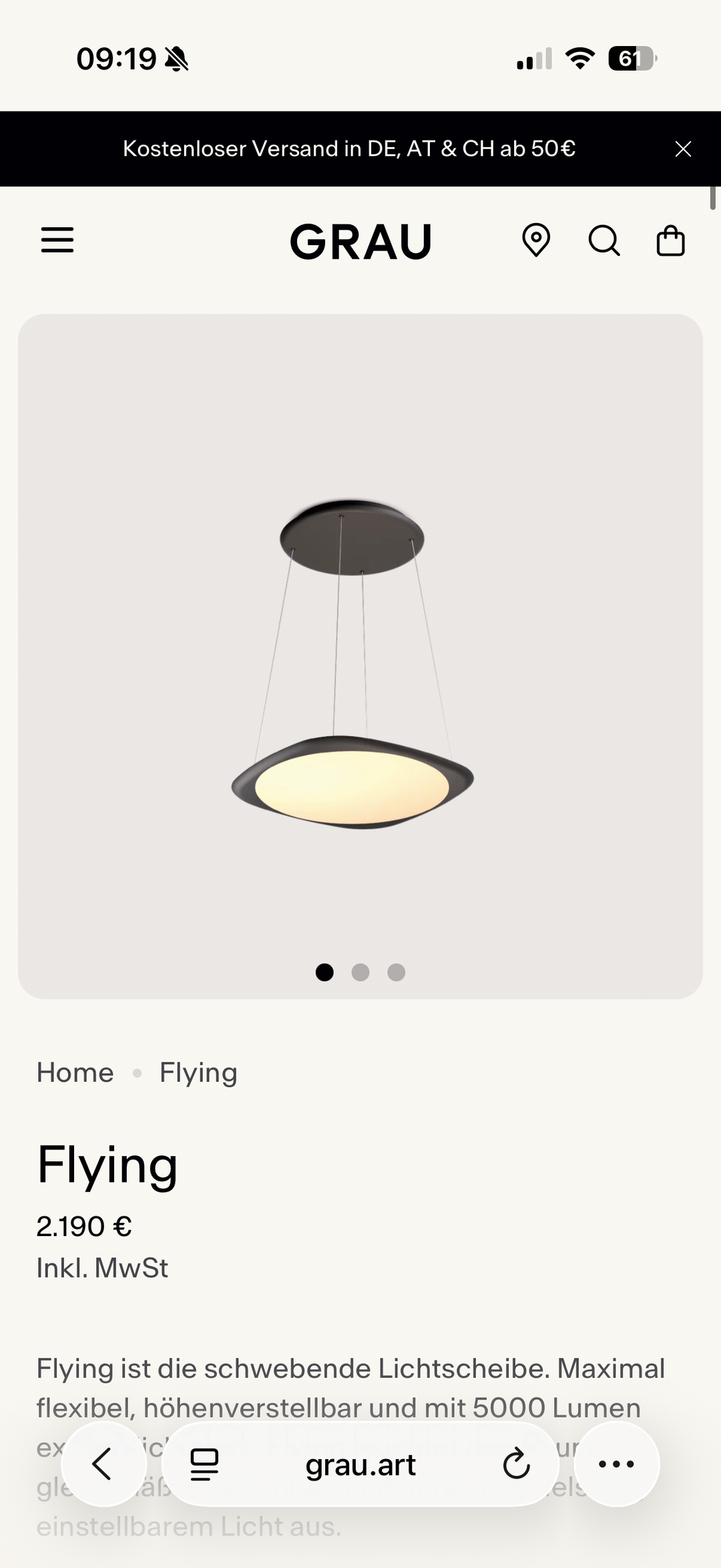 Flying Pendelleuchte Schwarz (Ausstellungsstück)