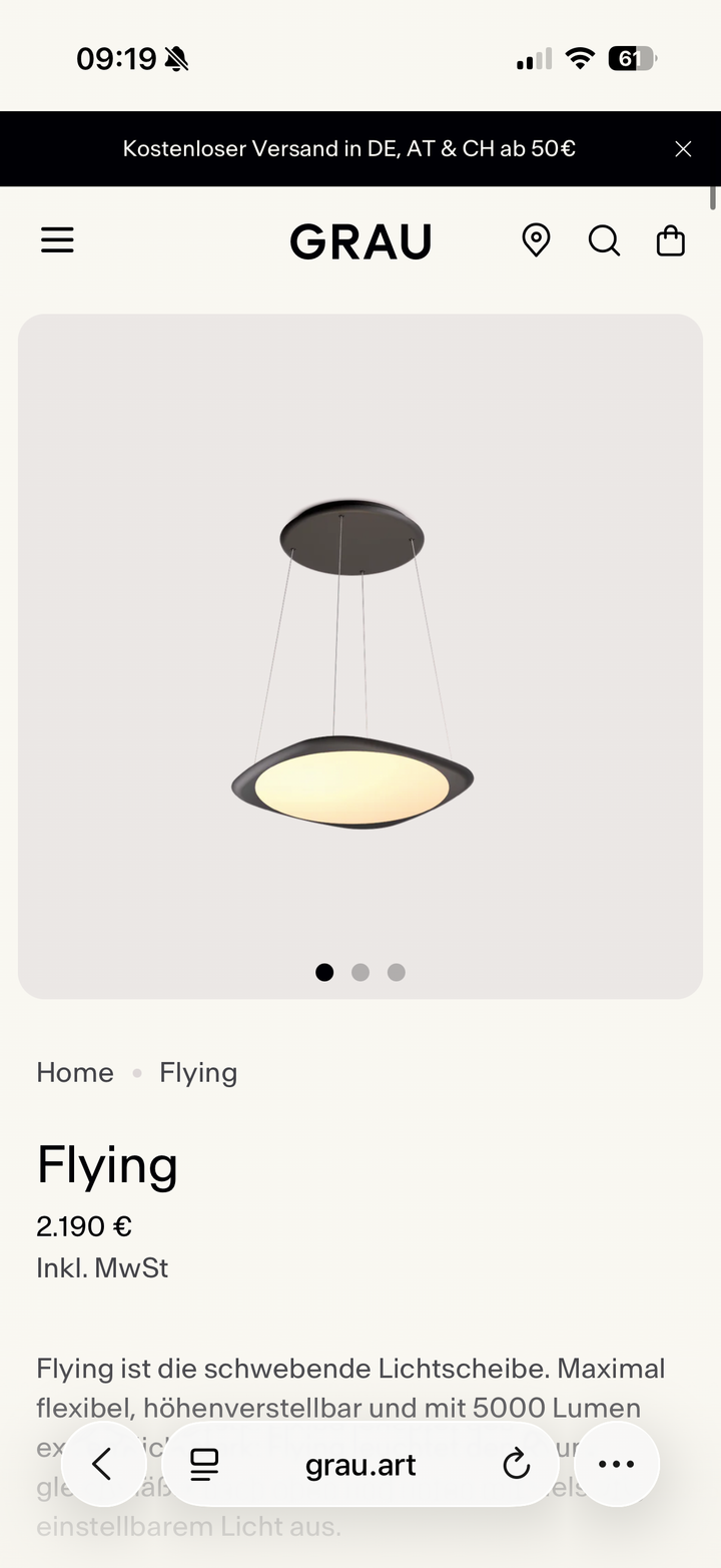 Flying Pendelleuchte Schwarz (Ausstellungsstück)