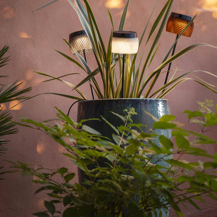 Solar-Spießleuchte Lolie