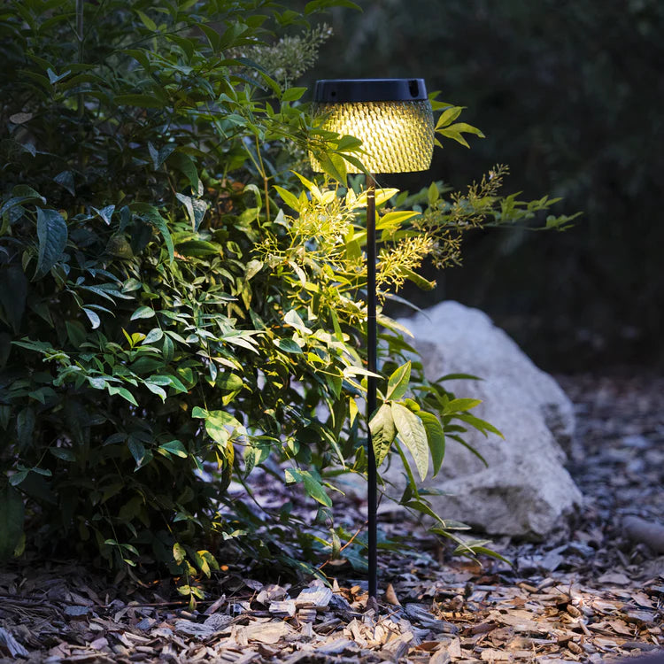 Solar-Spießleuchte Lolie