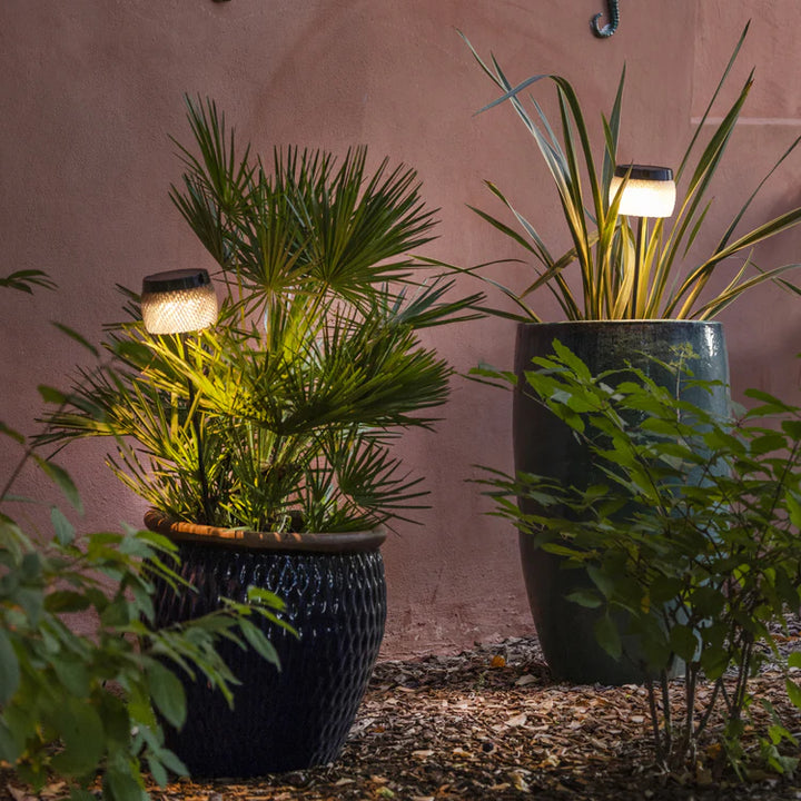 Solar-Spießleuchte Lolie