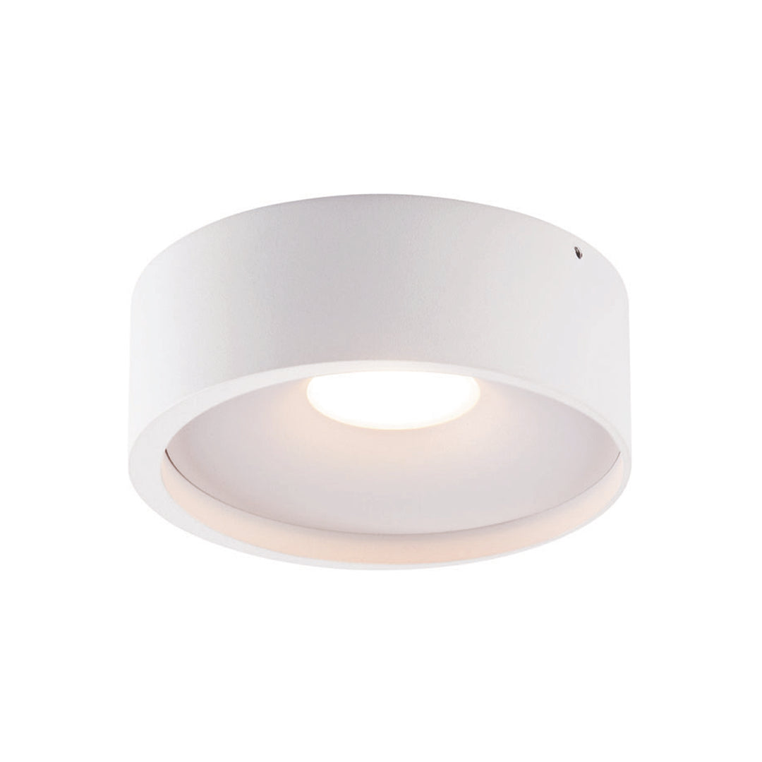 Orlando ceiling spotlight