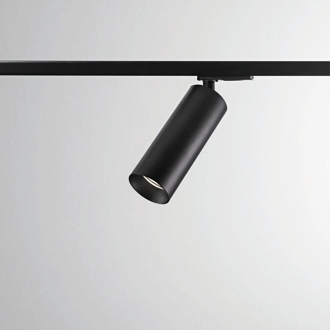 1-Phasen-Stromschienenstrahler Reed