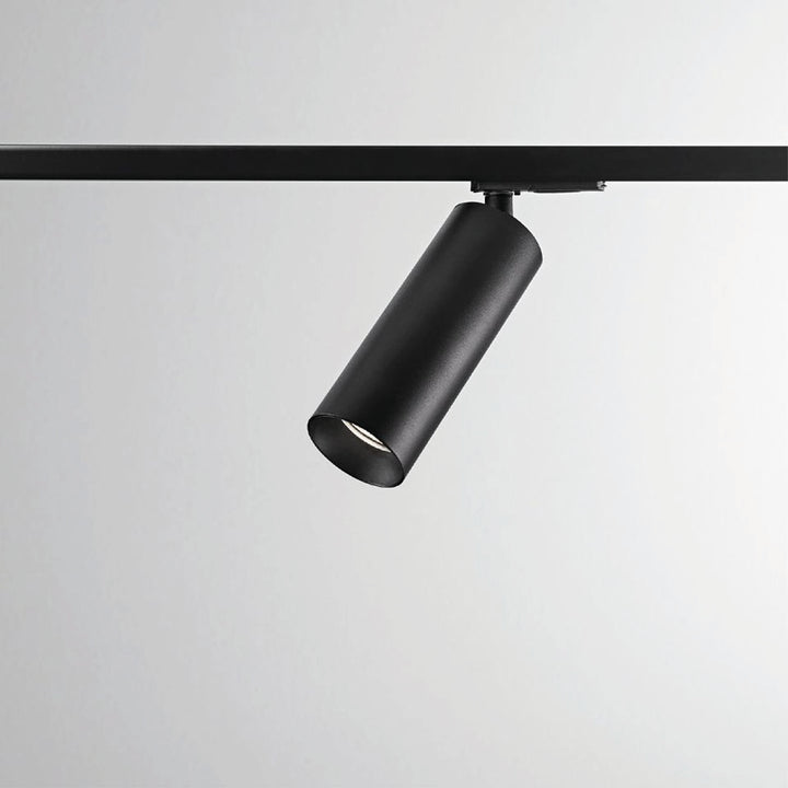 1-Phasen-Stromschienenstrahler Reed