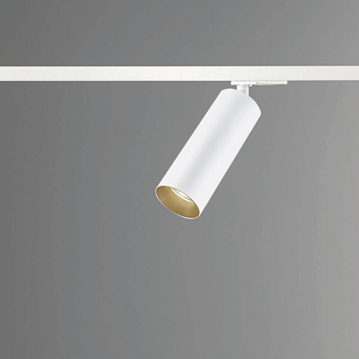DLS Lighting, 1-Phasen-Stromschienenstrahler Reed, Weiss-Gold, Produktbild