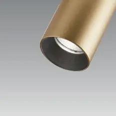DLS Lighting, 3-Phasen-Stromschienenstrahler Reed, Messing-Schwarz, hochwertige Akzentbeleuchtung