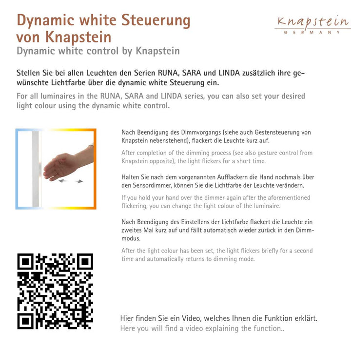 Sara Knapstein beschreibung 2