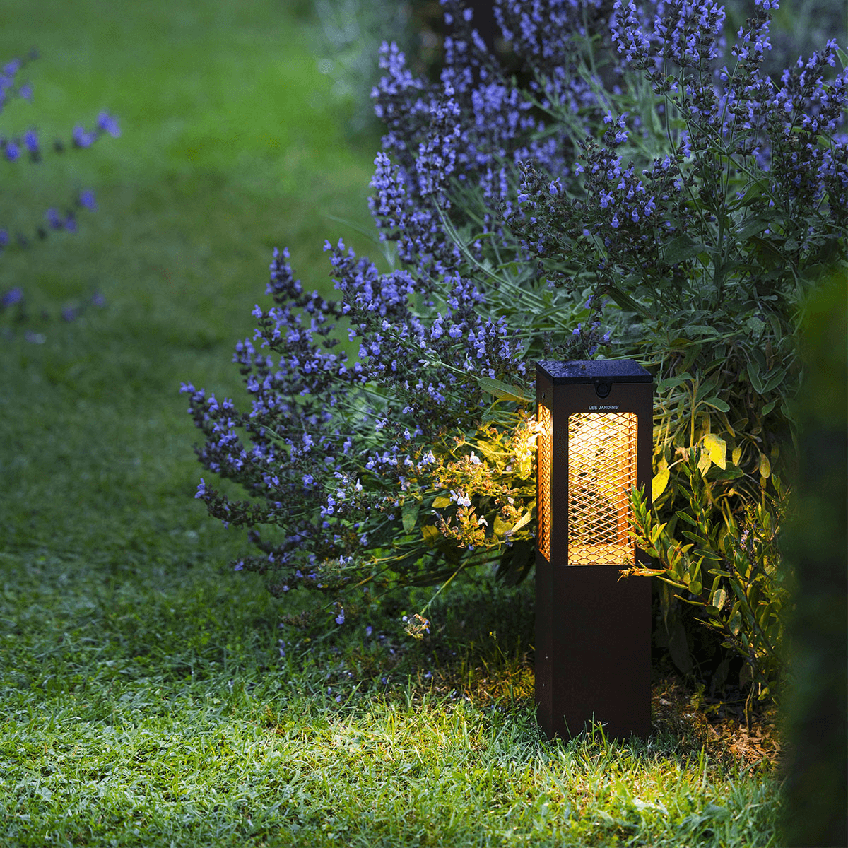 Solarleuchte im Garten bei Nachtbeleuchtung