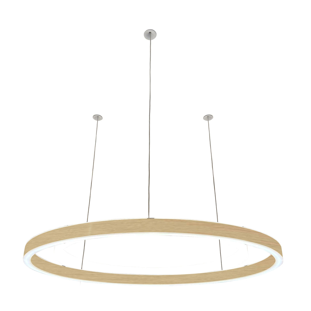 Pendelleuchte Loop 24V