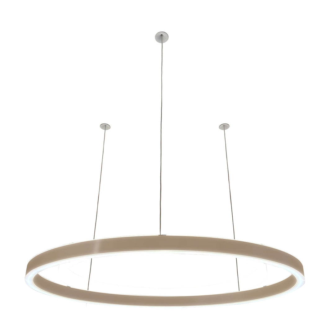 Pendelleuchte Loop 24V