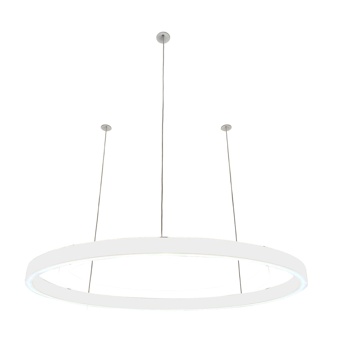 Pendelleuchte Loop 24V