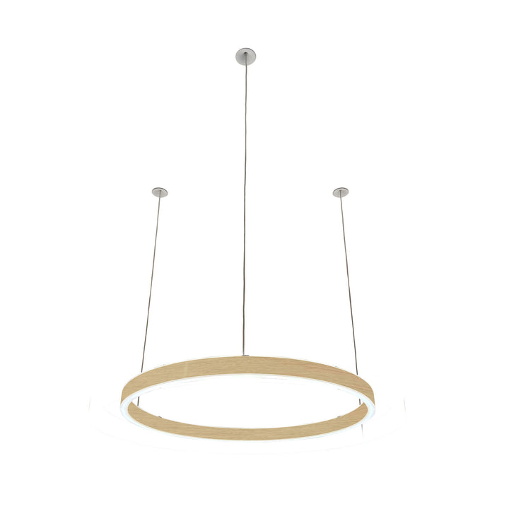 Pendelleuchte Loop 24V