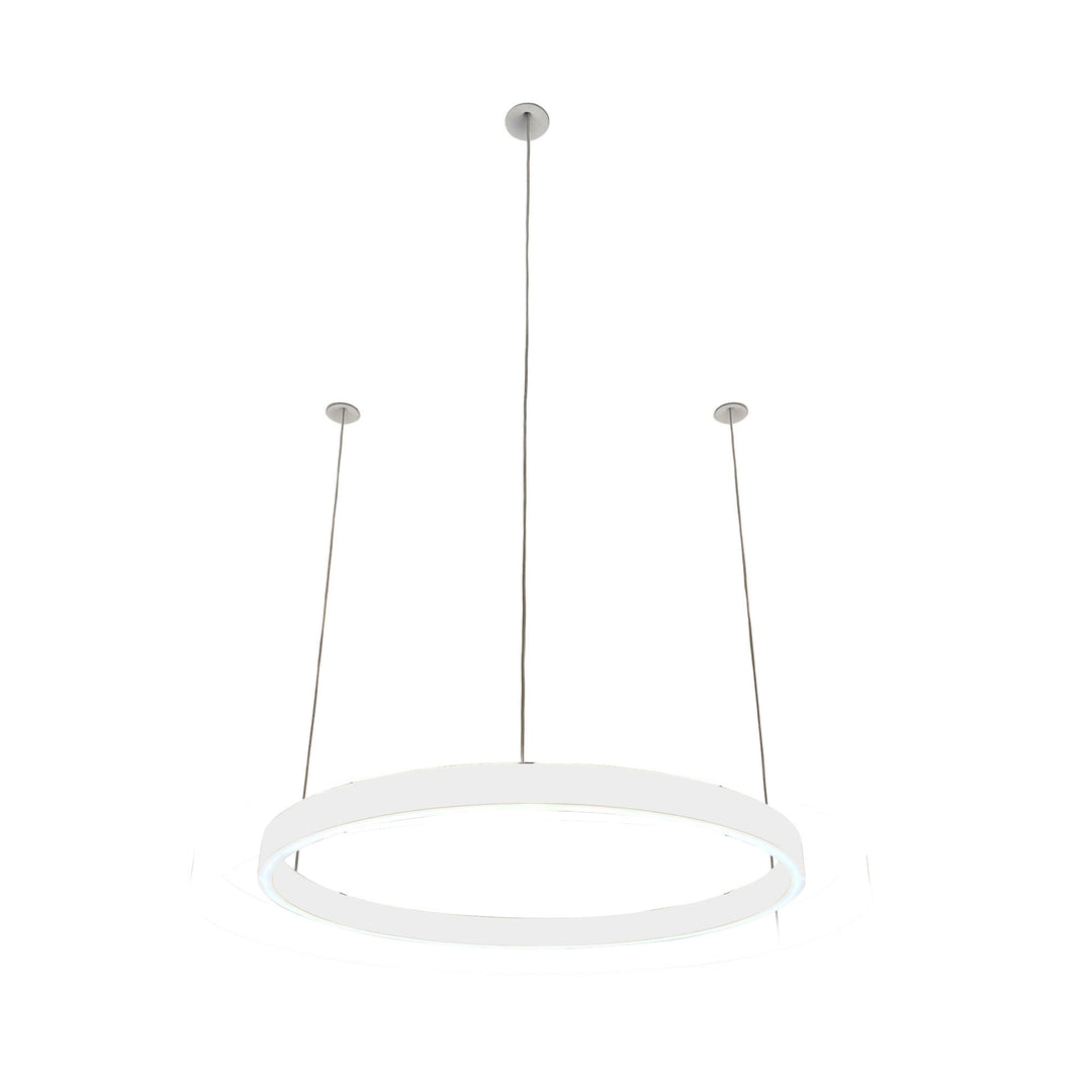 Pendelleuchte Loop 24V