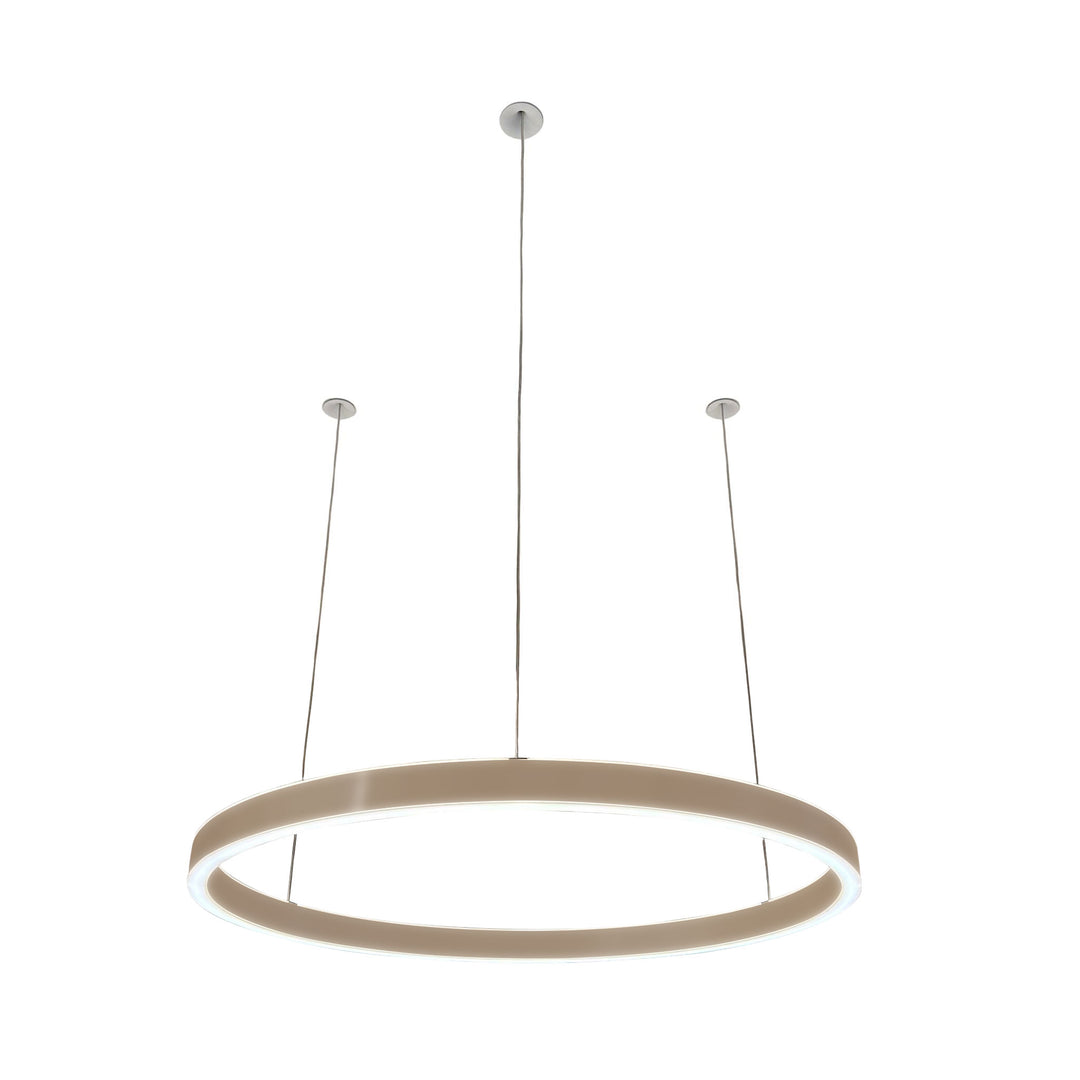 Pendelleuchte Loop 24V