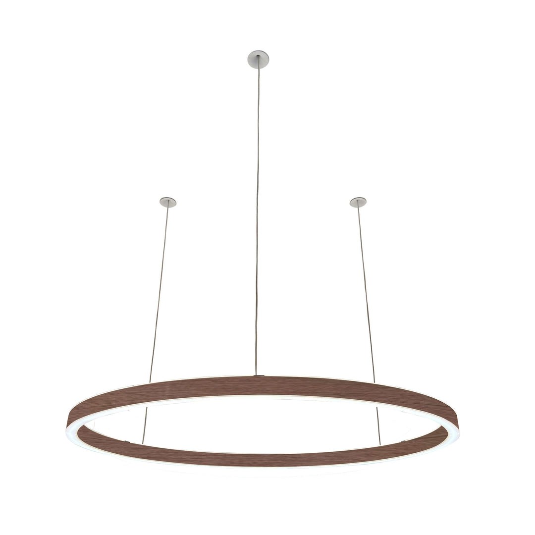 Pendelleuchte Ovally 24V