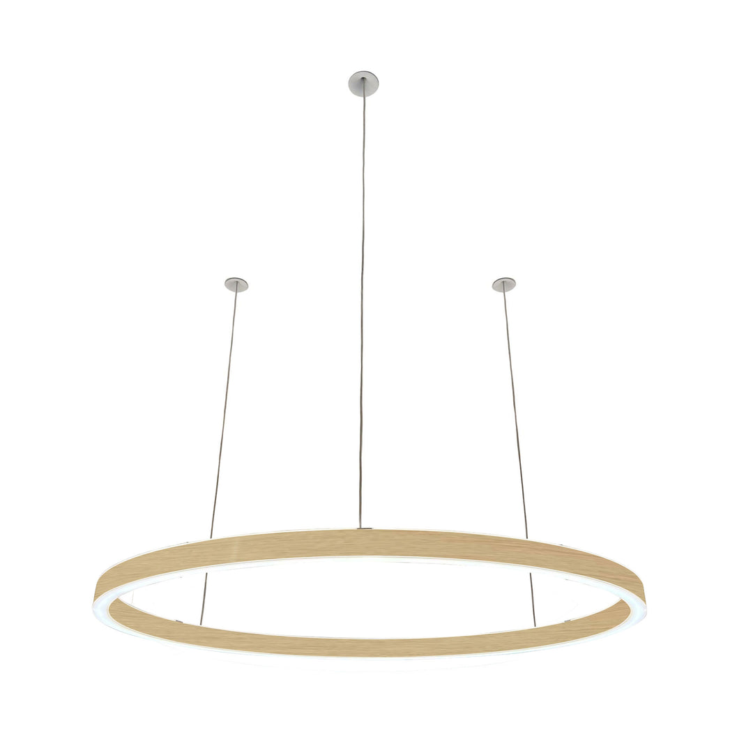 Pendelleuchte Ovally 24V