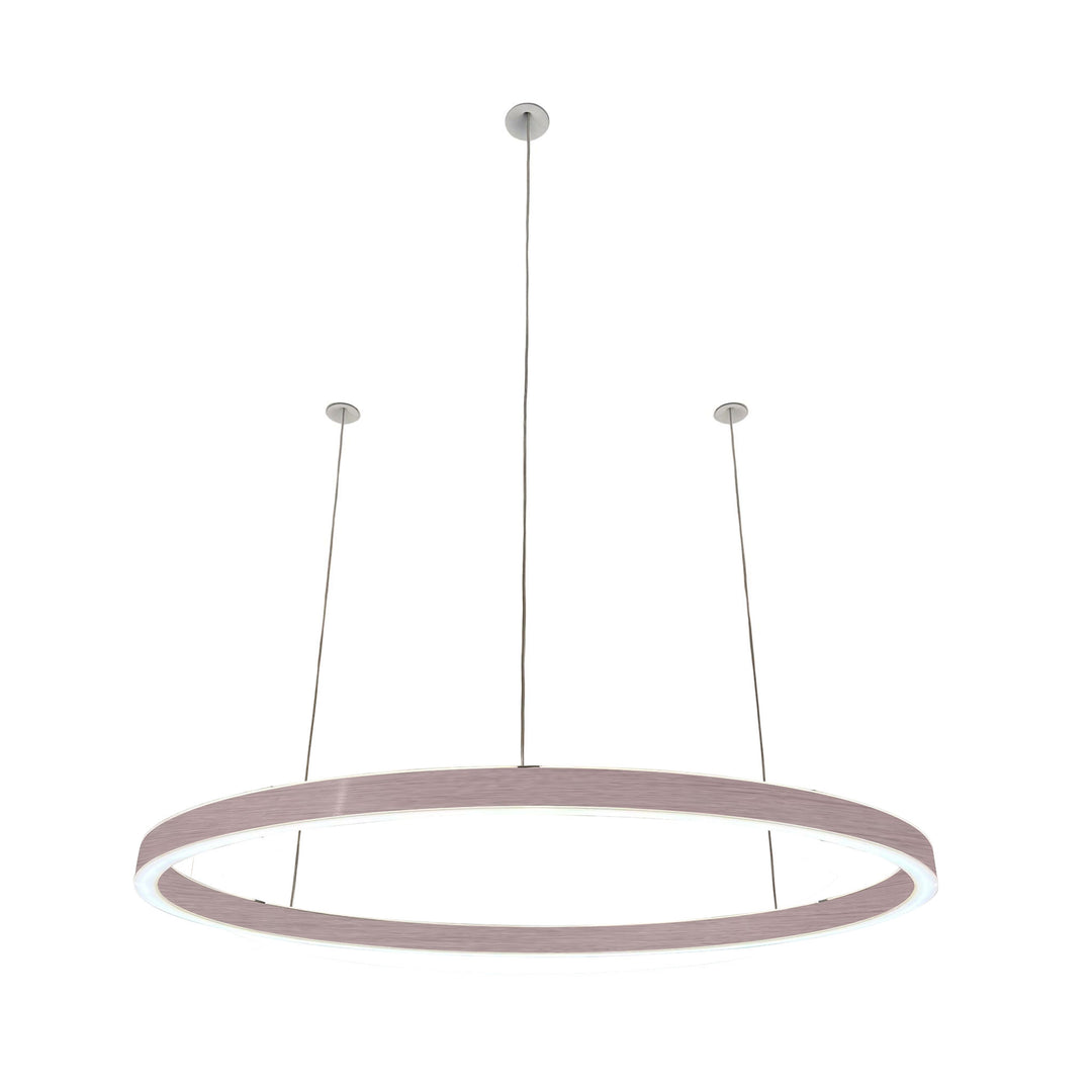 Pendelleuchte Ovally 24V