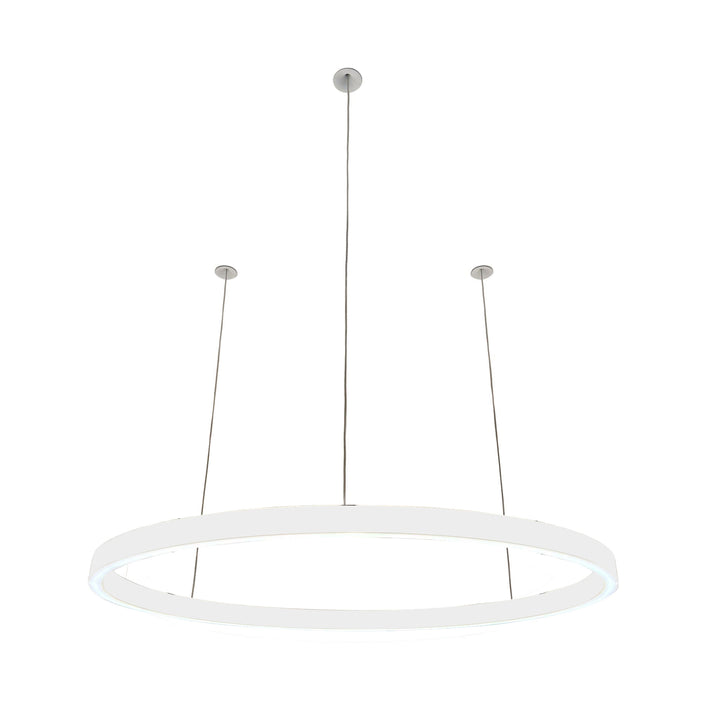 Pendelleuchte Ovally 24V