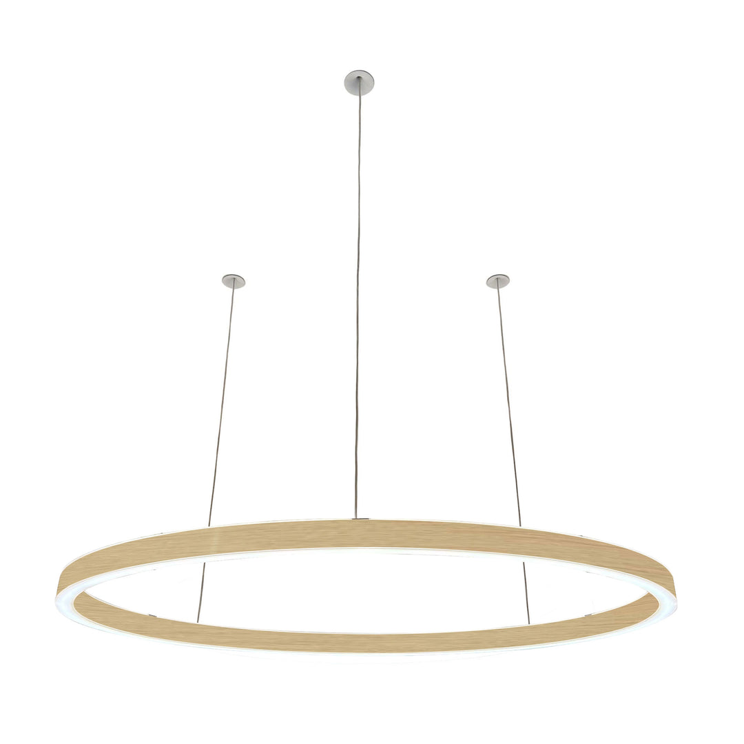 Pendelleuchte Ovally 24V