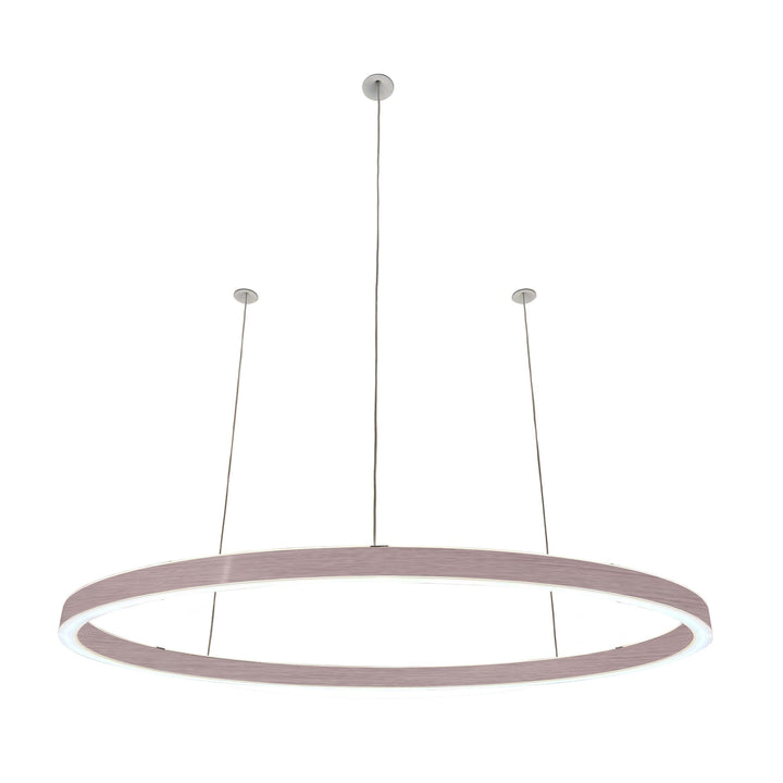 Pendelleuchte Ovally 24V