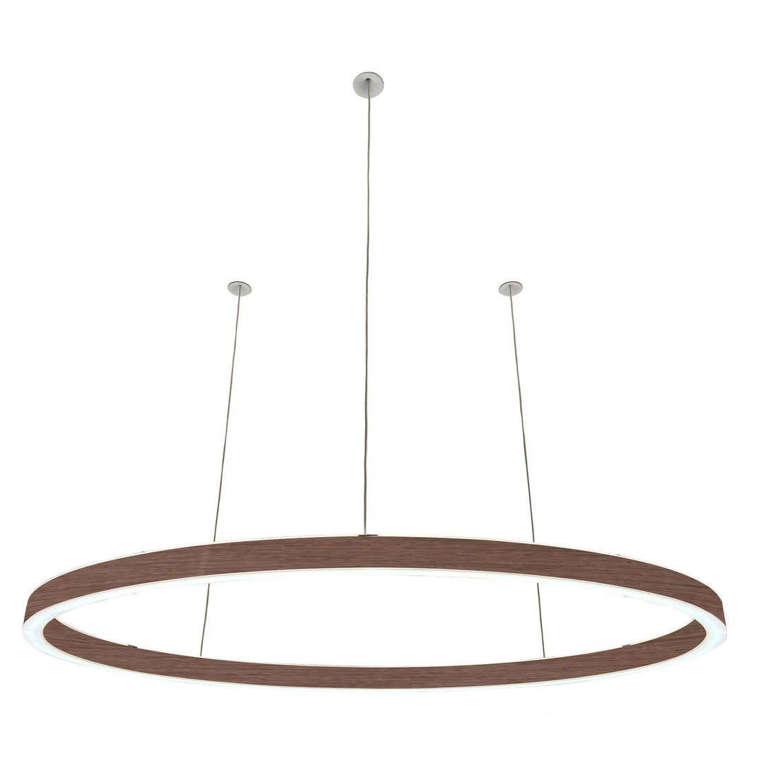 Pendelleuchte Ovally 24V