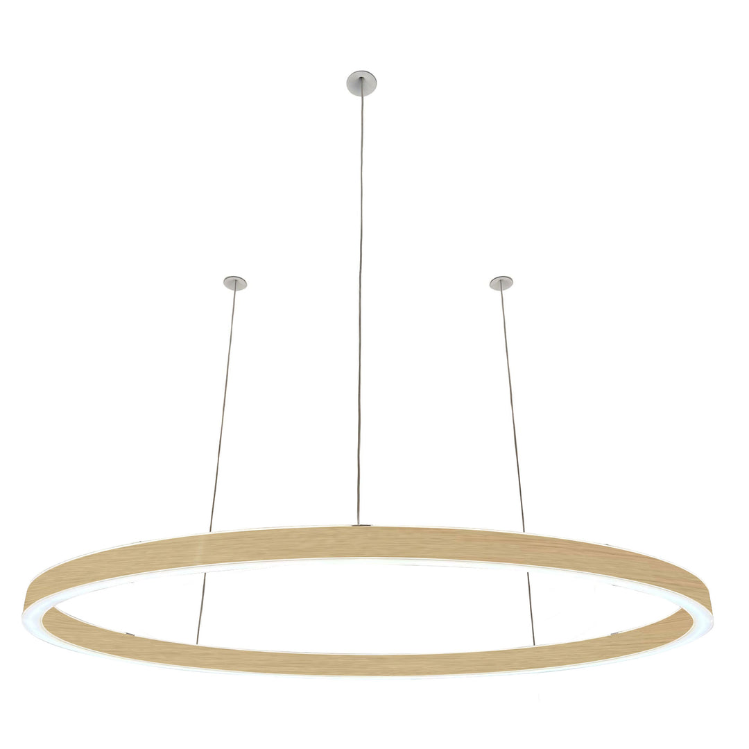 Pendelleuchte Ovally 24V