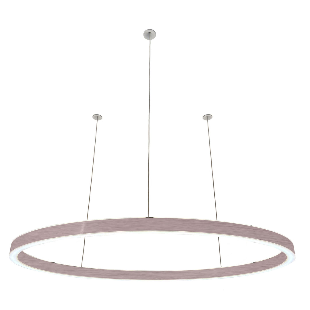 Pendelleuchte Ovally 24V