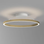 Braga, Deckenleuchte Loop, 70cm Gold, hochwertige Lichtlösung