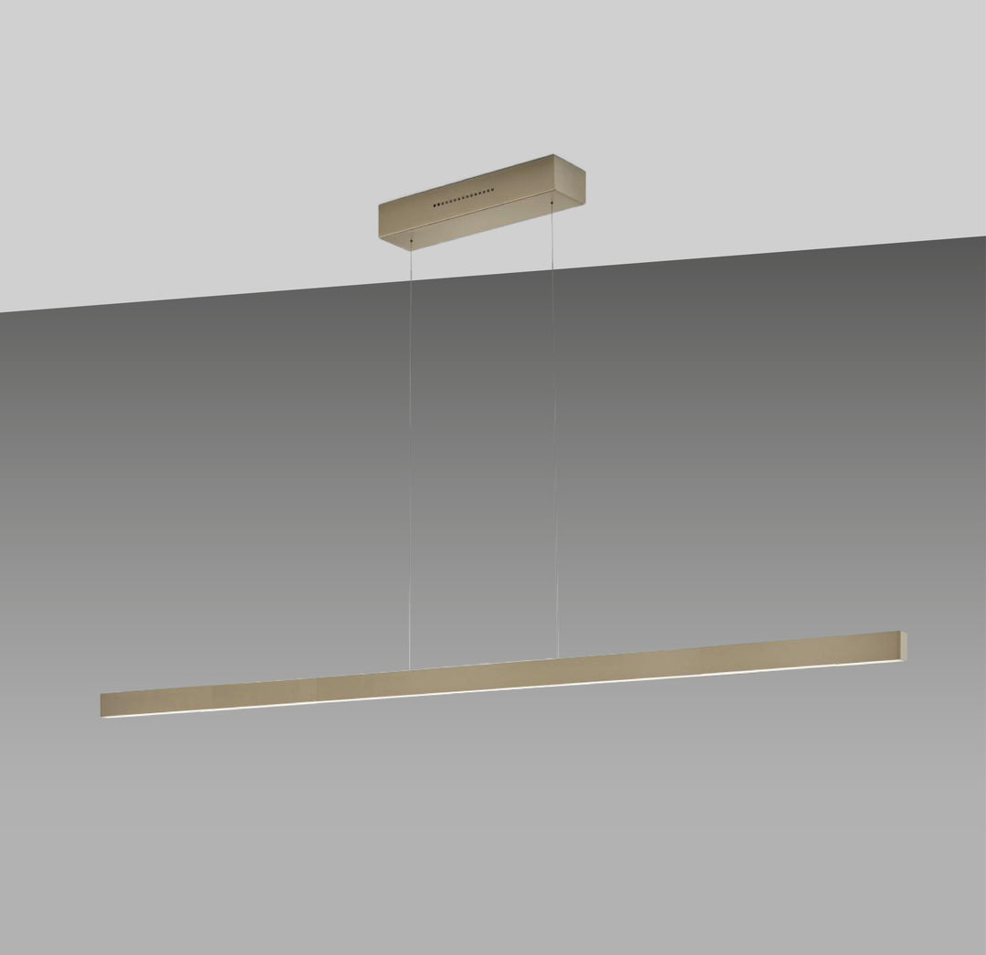 Linda, Schwarz Knapstein 152cm 