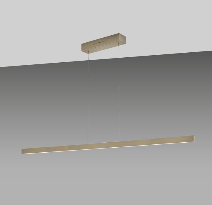 Linda, Schwarz Knapstein 152cm 