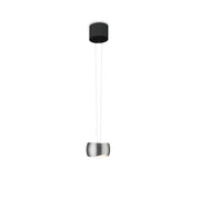 Oligo, Pendelleuchte Curved, 1-flammig Schwarz Aluminium, hochwertige Lichtlösung