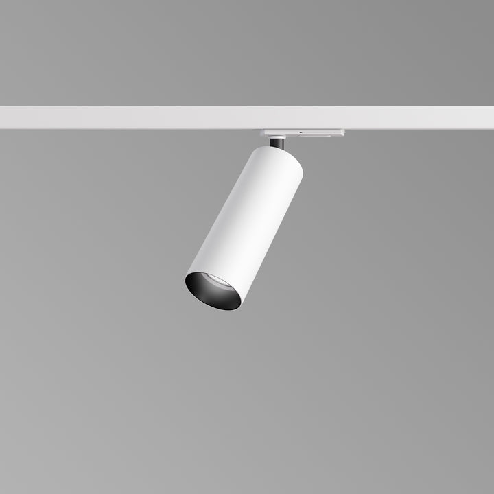 1-Phasen-Stromschienenstrahler Reed S