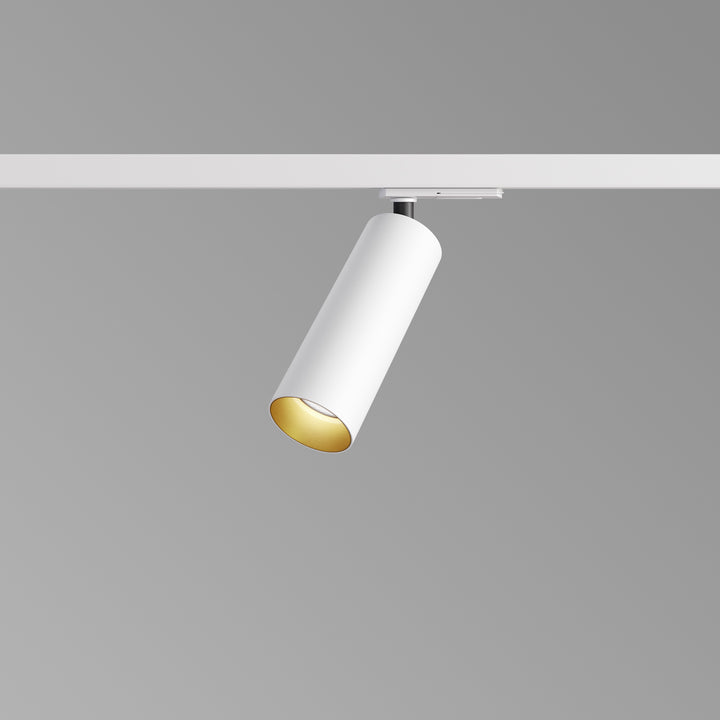 1-Phasen-Stromschienenstrahler Reed S