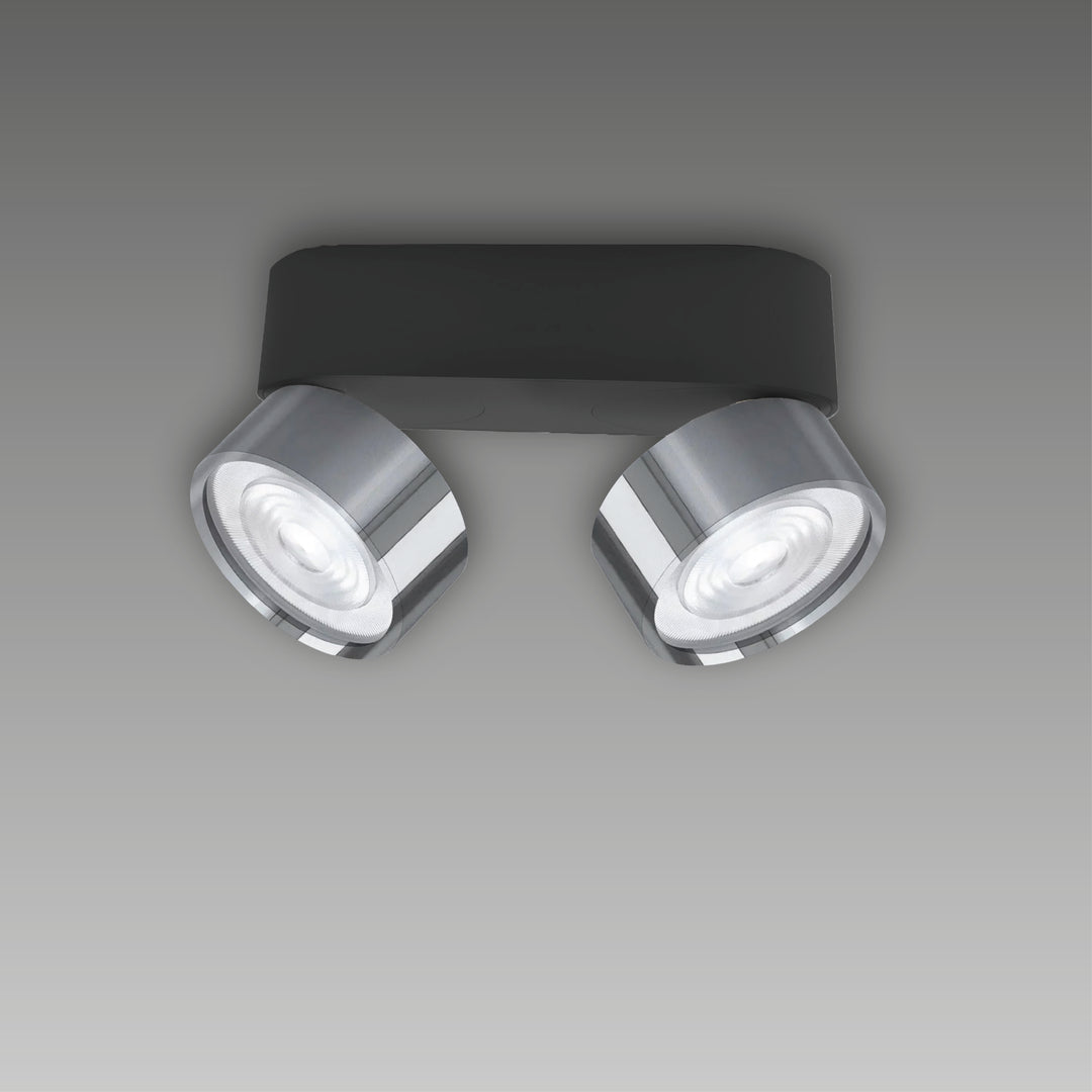 Aufbaustrahler Swing Out 2-flammig