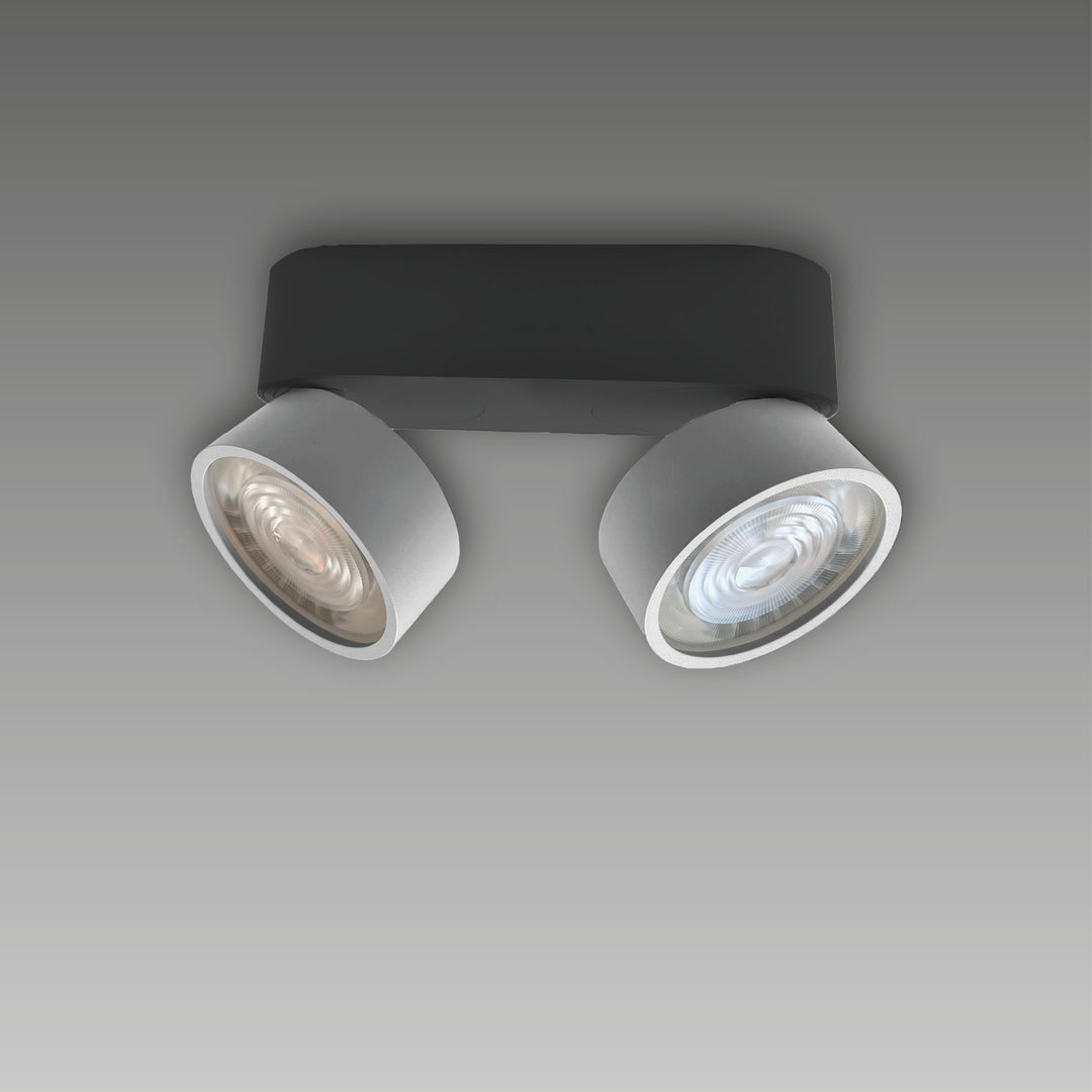 Aufbaustrahler Swing Out 2-flammig