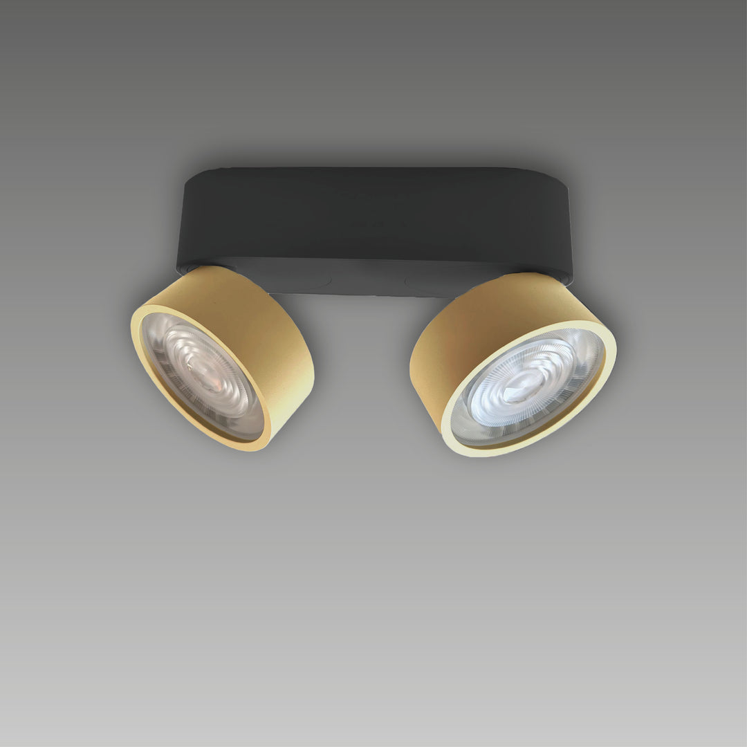 Aufbaustrahler Swing Out 2-flammig