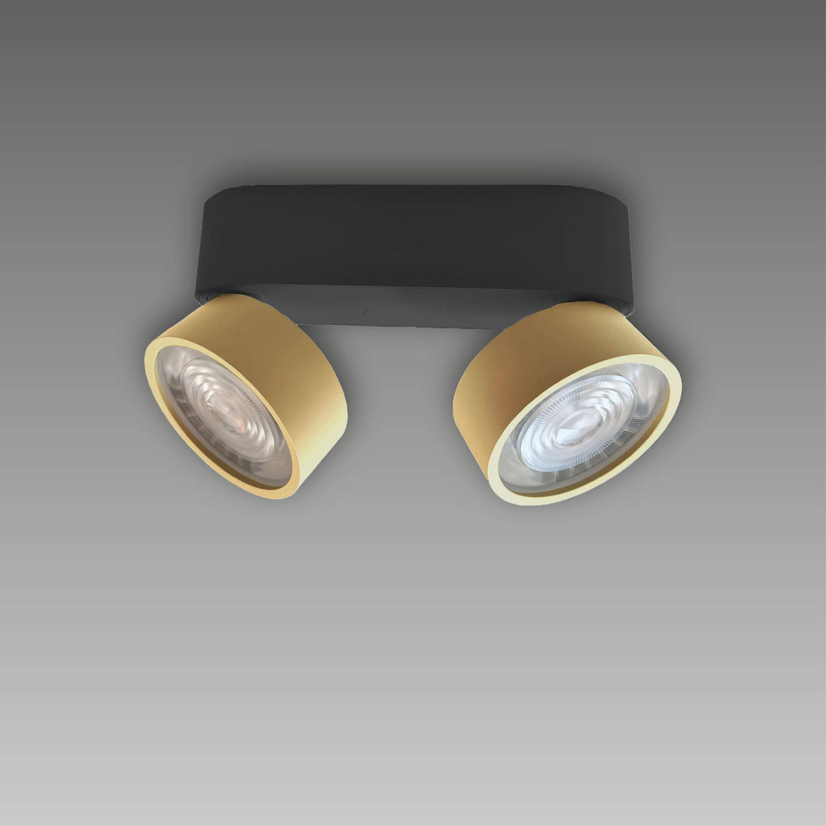 LUX-IT, Aufbaustrahler Swing Out 2-flammig, Schwarz-Gold, Produktbild