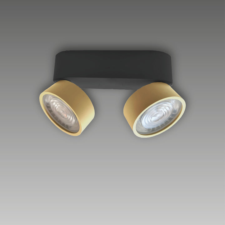 Aufbaustrahler Swing Out 2-flammig