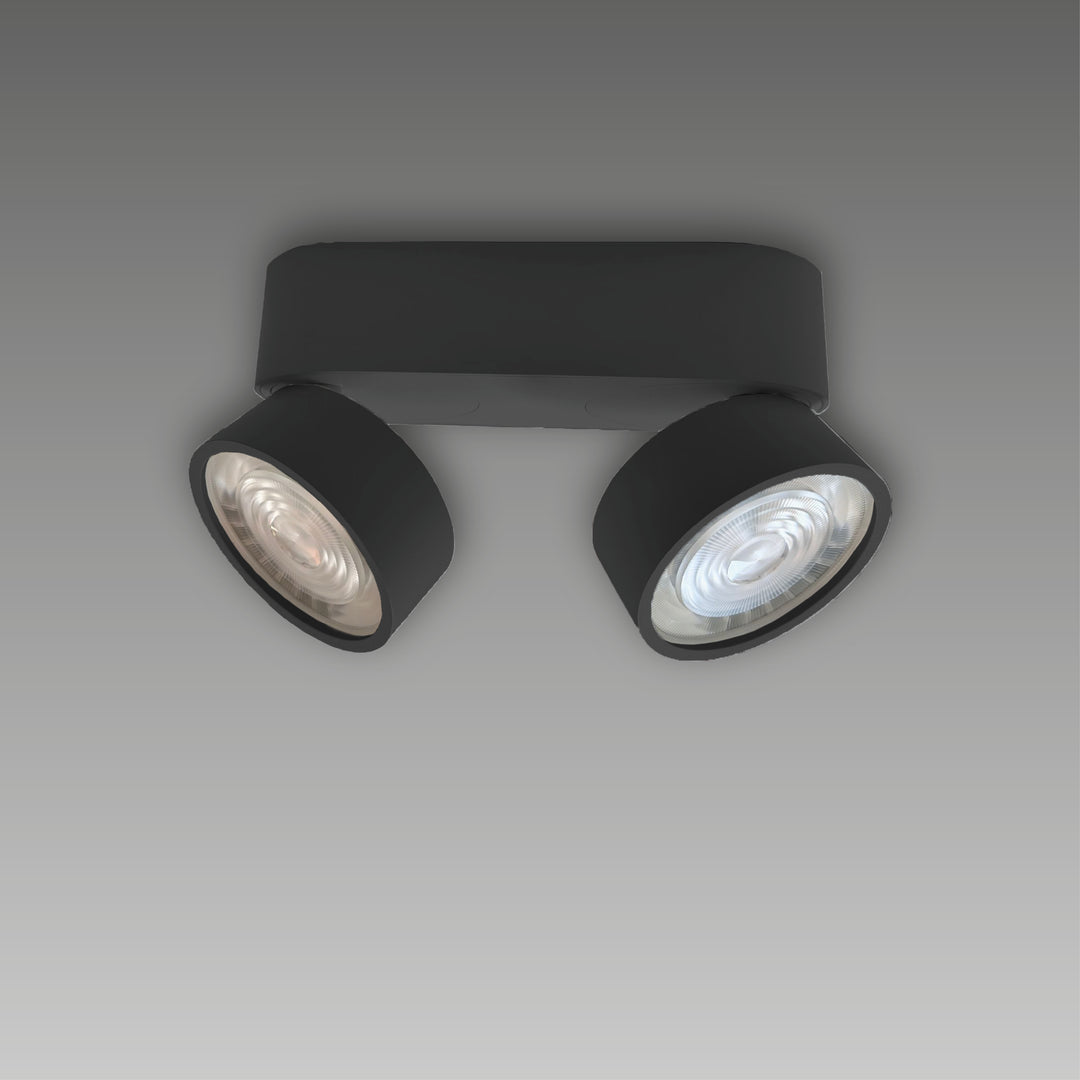 Aufbaustrahler Swing Out 2-flammig