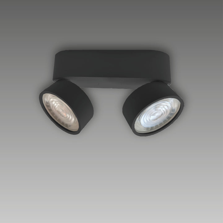 Aufbaustrahler Swing Out 2-flammig