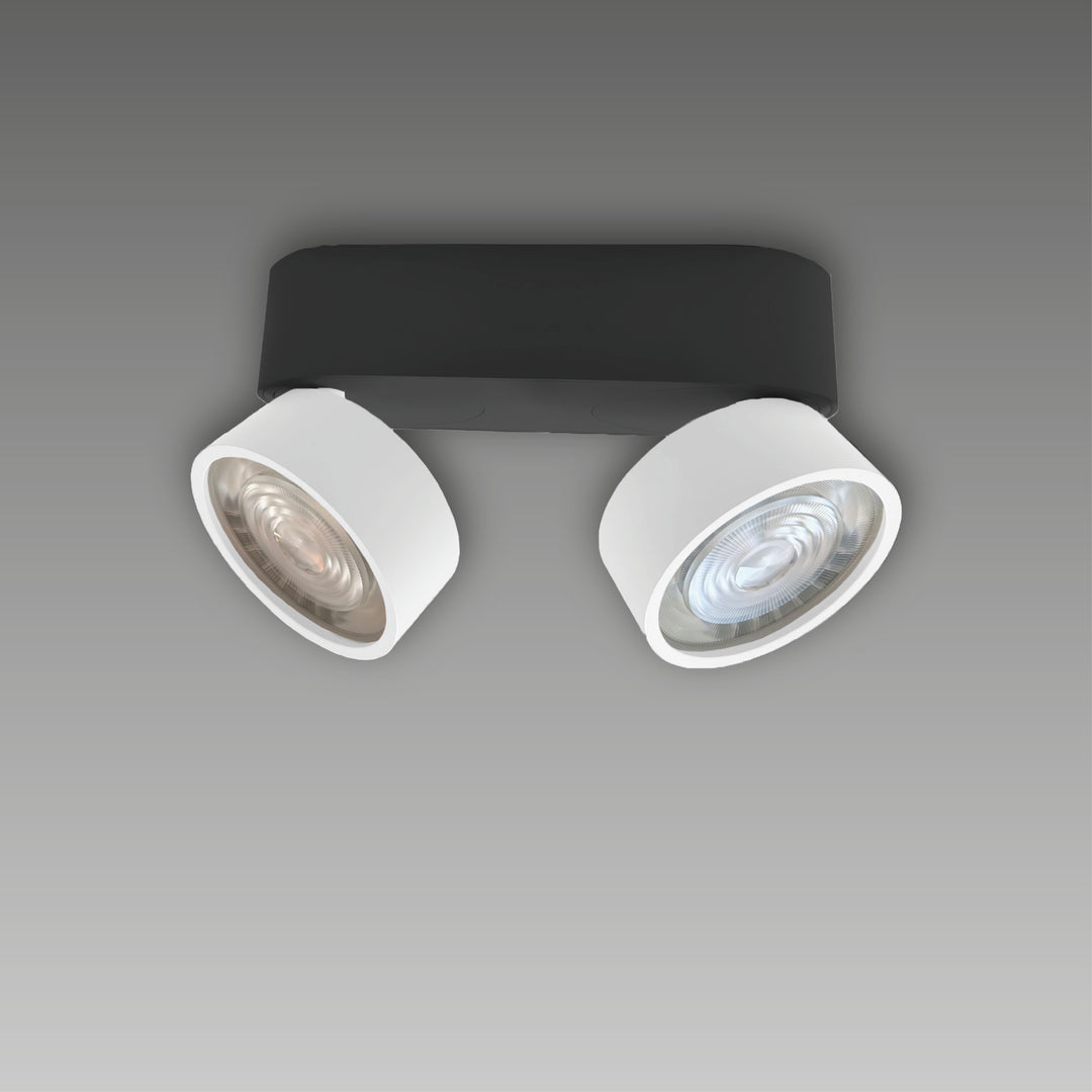 Aufbaustrahler Swing Out 2-flammig