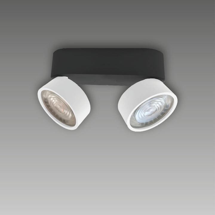 Aufbaustrahler Swing Out 2-flammig