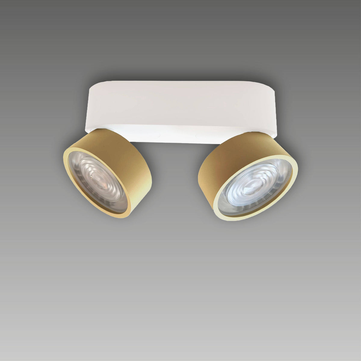 LUX-IT, Aufbaustrahler Swing Out 2-flammig, Weiss-Gold, Produktbild