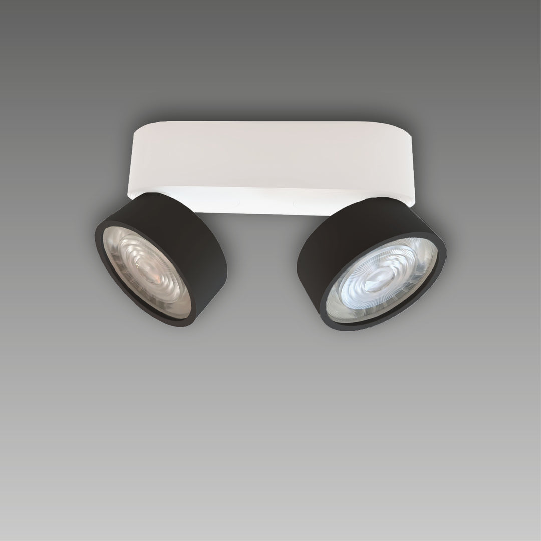 Aufbaustrahler Swing Out 2-flammig