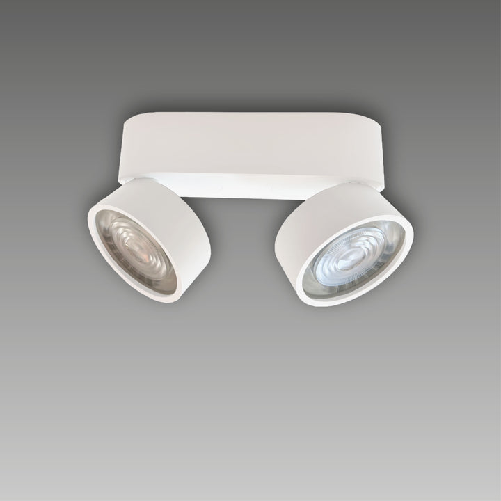 Aufbaustrahler Swing Out 2-flammig