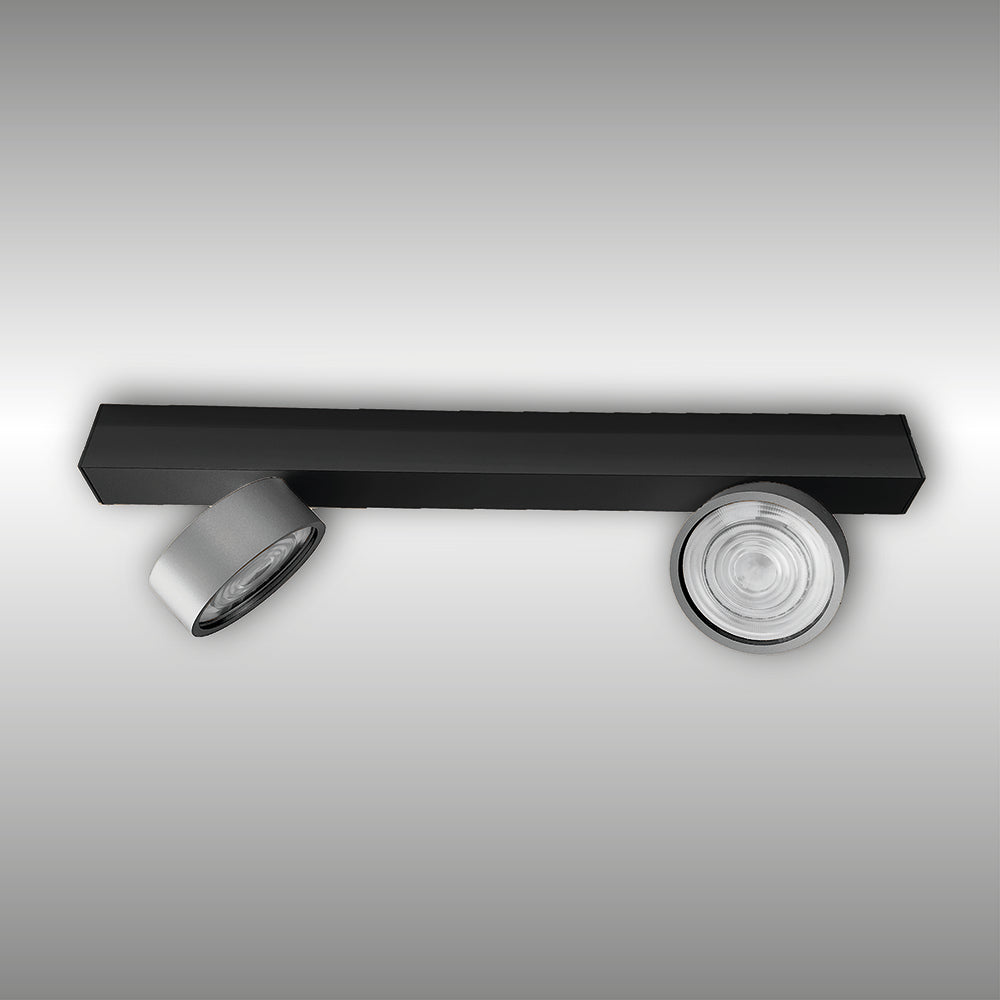 Aufbaustrahler Swing 2-flammig