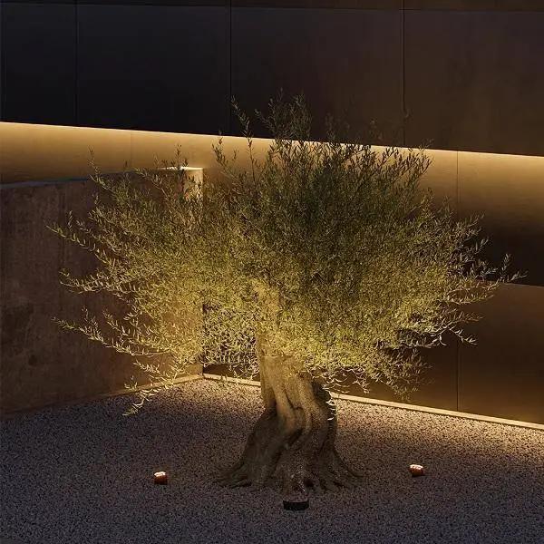 Erdspießstrahler Signal