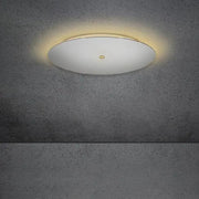 Escale, Blade Spot, 44cm Silber, hochwertige Deckenbeleuchtung
